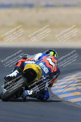 media/May-13-2023-SoCal Trackdays (Sat) [[8a473a8fd1]]/Turn 11 Backside (945am)/